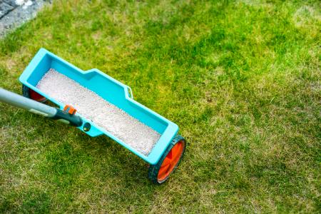 3 Reasons Your Yard Needs Fertilization