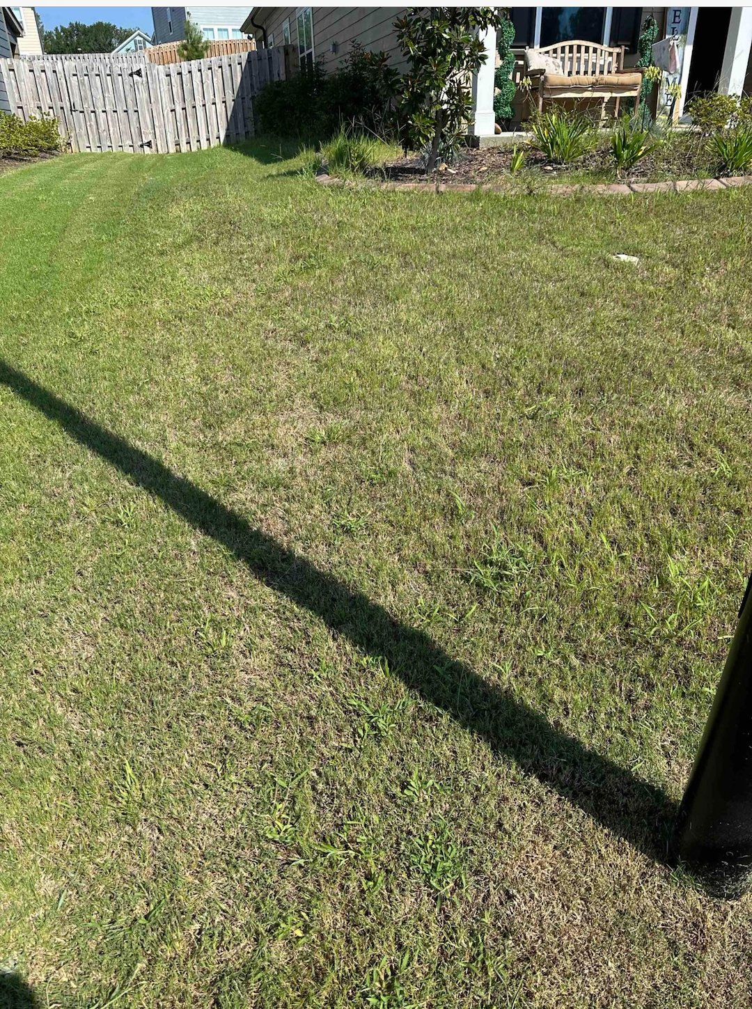 weed control and fertilization before and after