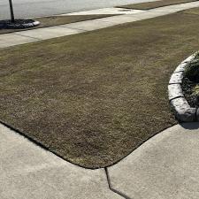 Weed-free-lawn-with-granular-pre-emergent 1