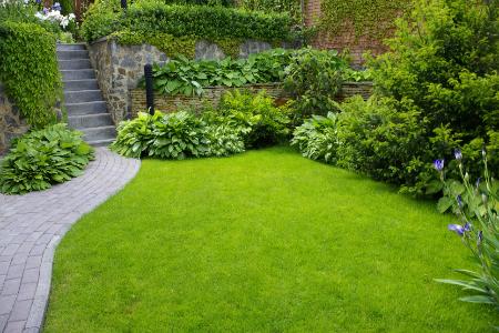 Lime and Lawn Consultation